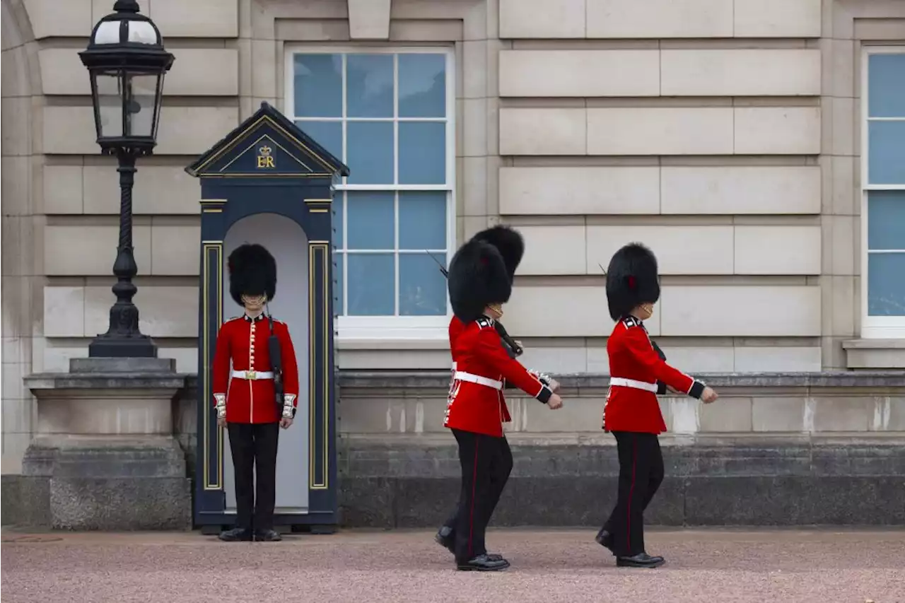 Buckingham Palace: tutte innamorate della guardia di re Carlo - iO Donna