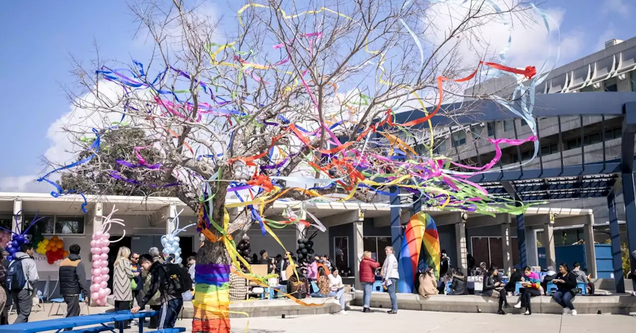 Pride Center welcomes LGBTQ students at Mesa College