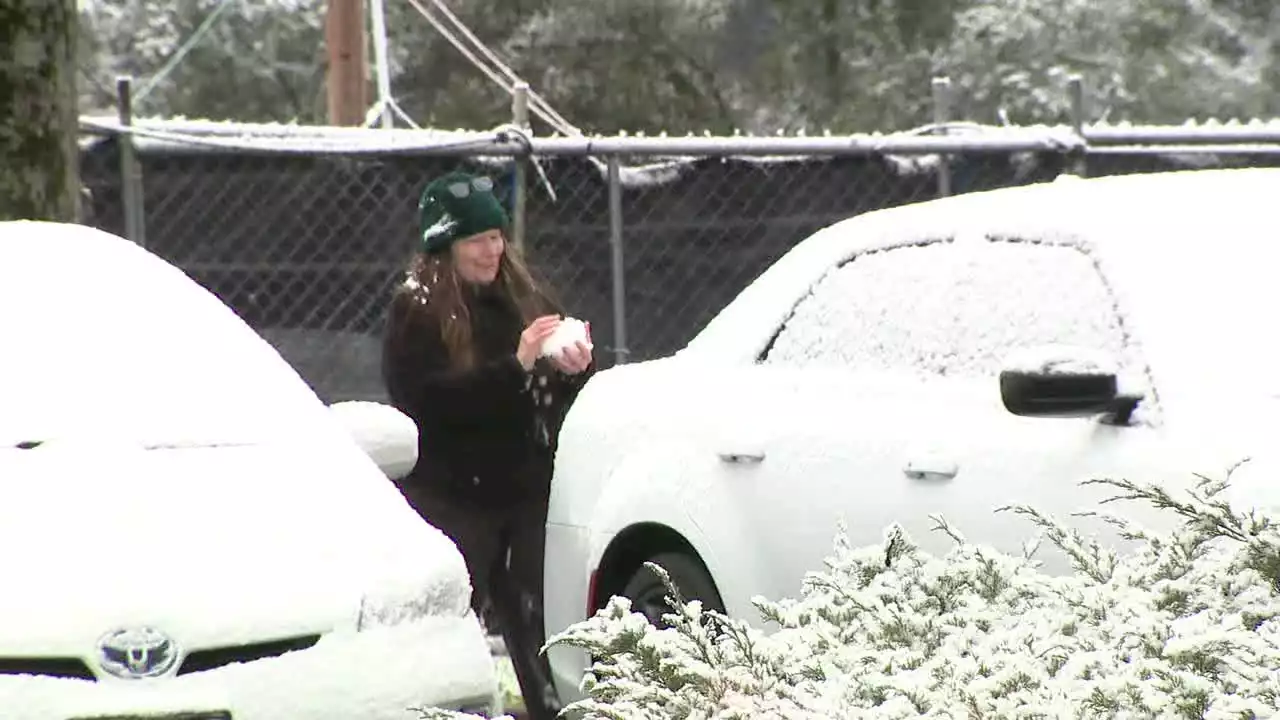 Bay Area snow photos: rare winter storm transforms California landscape