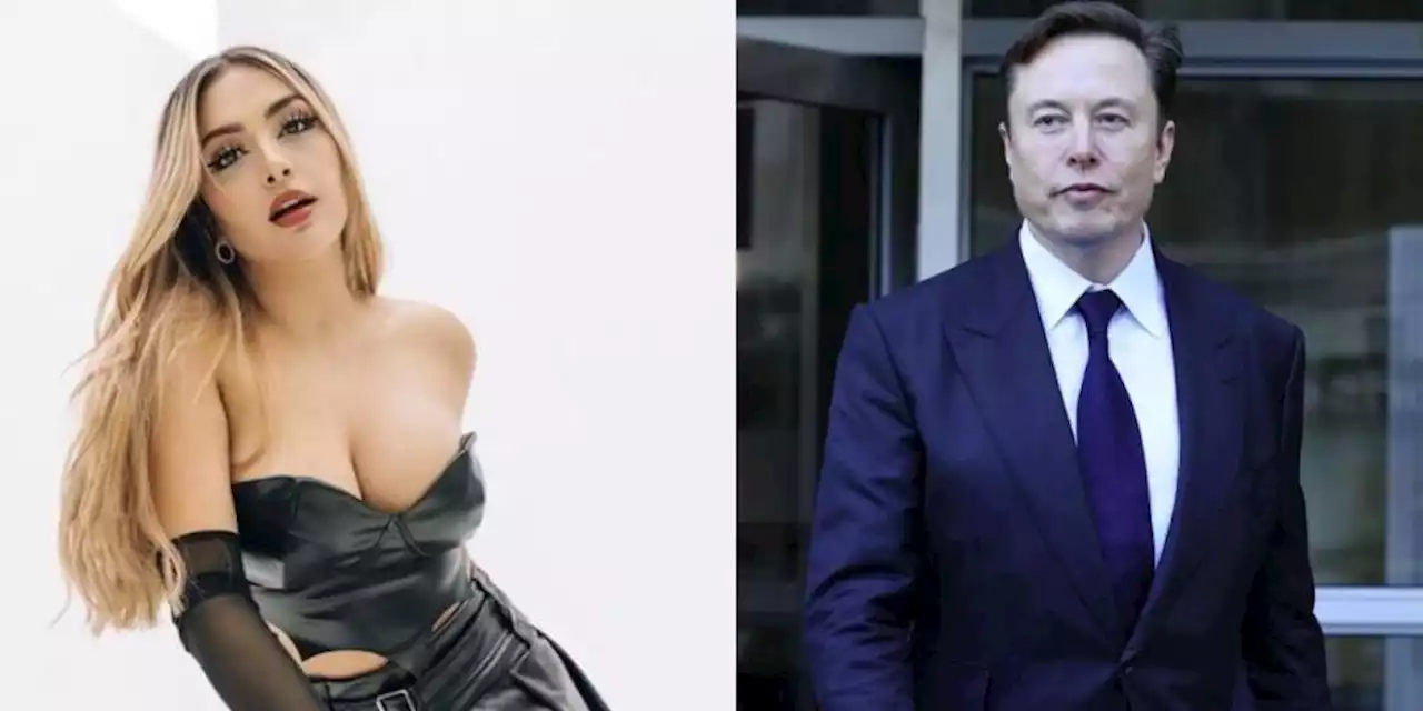 Elon Musk le coquetea a AriGameplays y ella le responde ¿Se enojó? (FOTO)