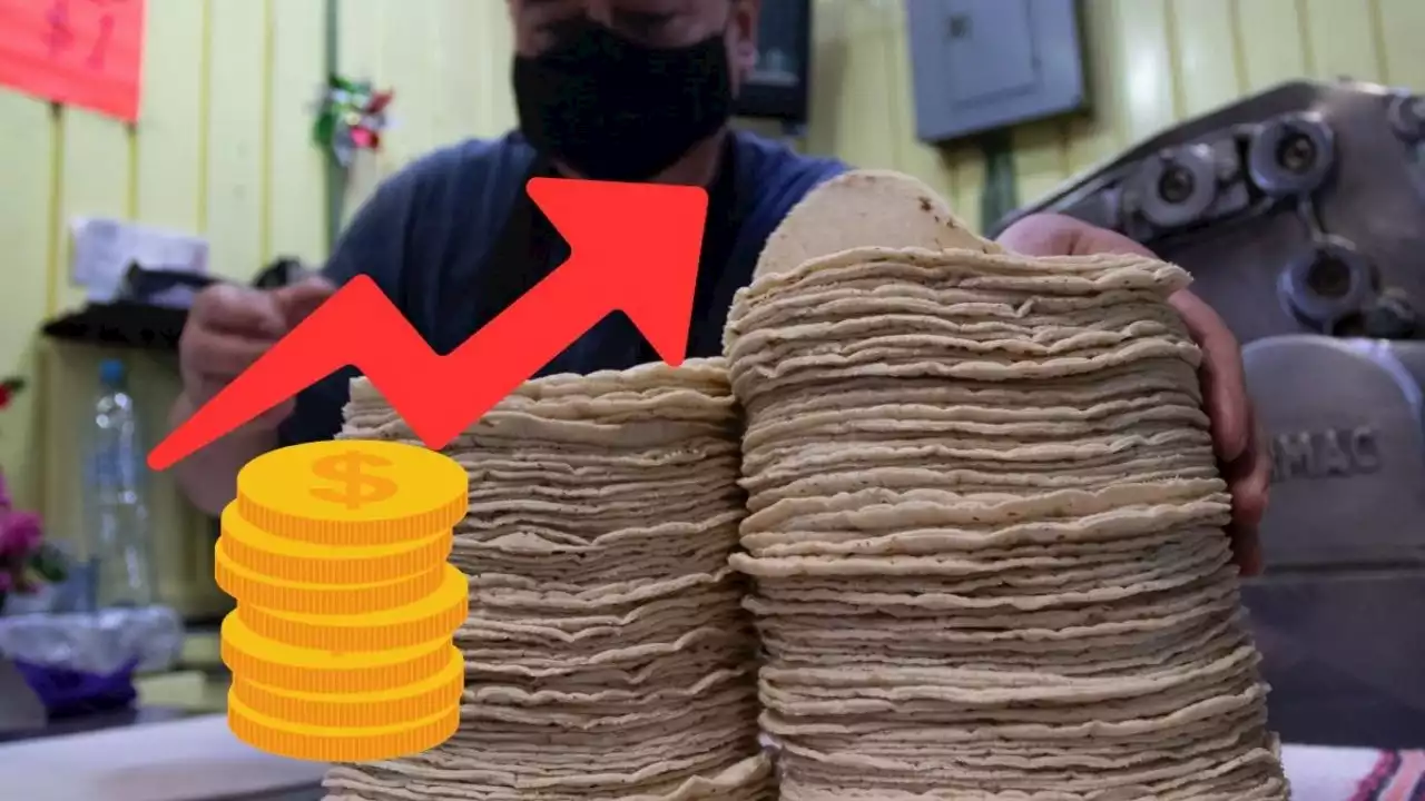 Subirá el precio de la tortilla en Veracruz ¿Cuánto y a partir de cuándo?