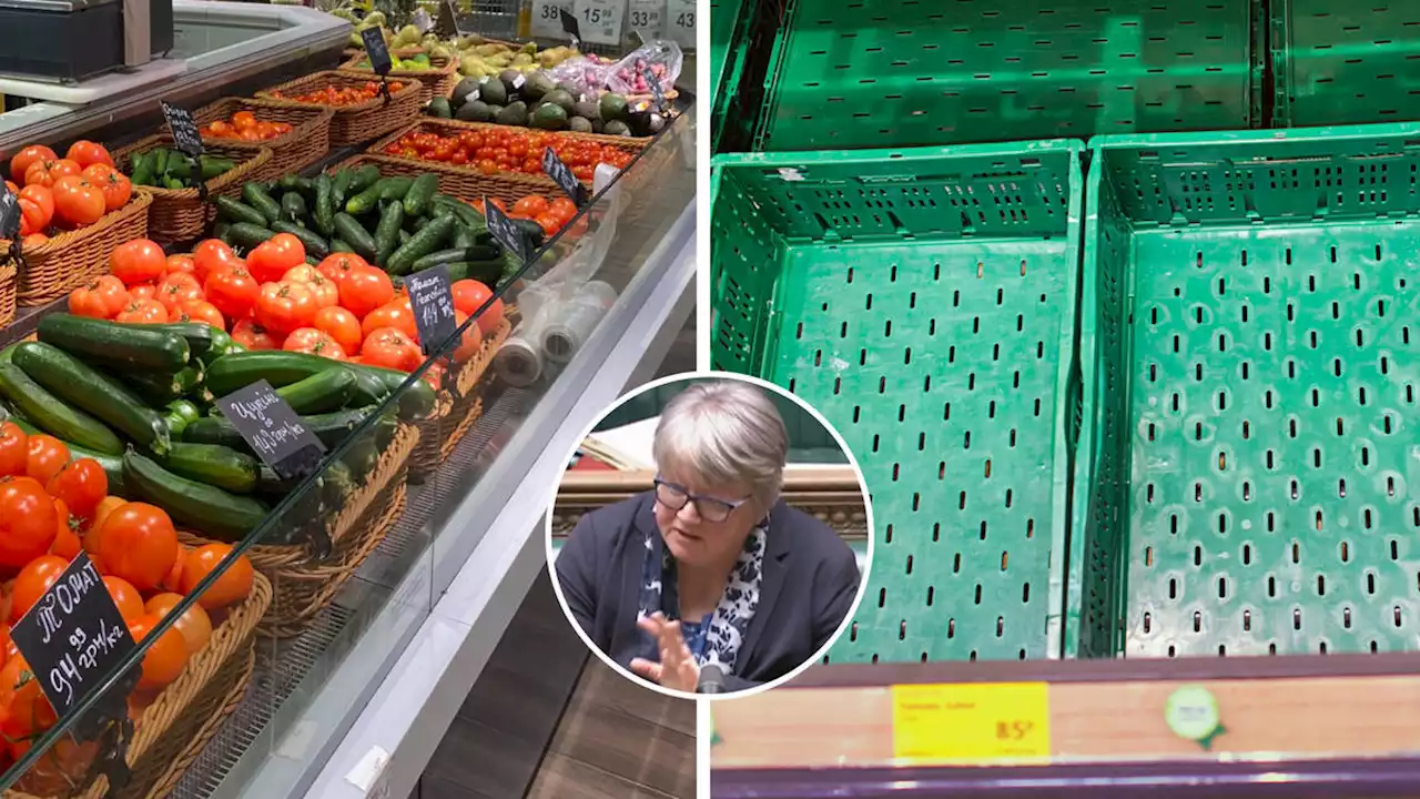 Brits 'face four weeks of fruit and veg shortages' while Ukrainian shelves are full