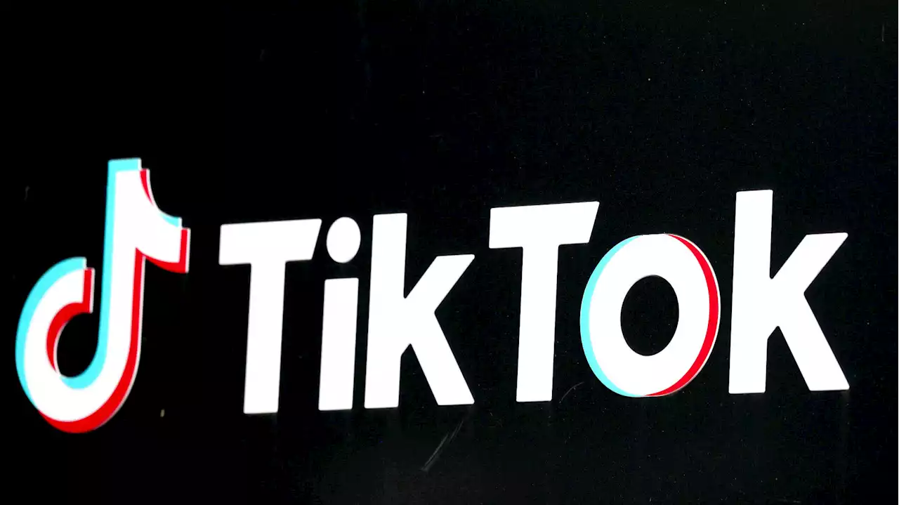 Tiktok est désormais interdit sur les téléphones pro de cette instance européenne