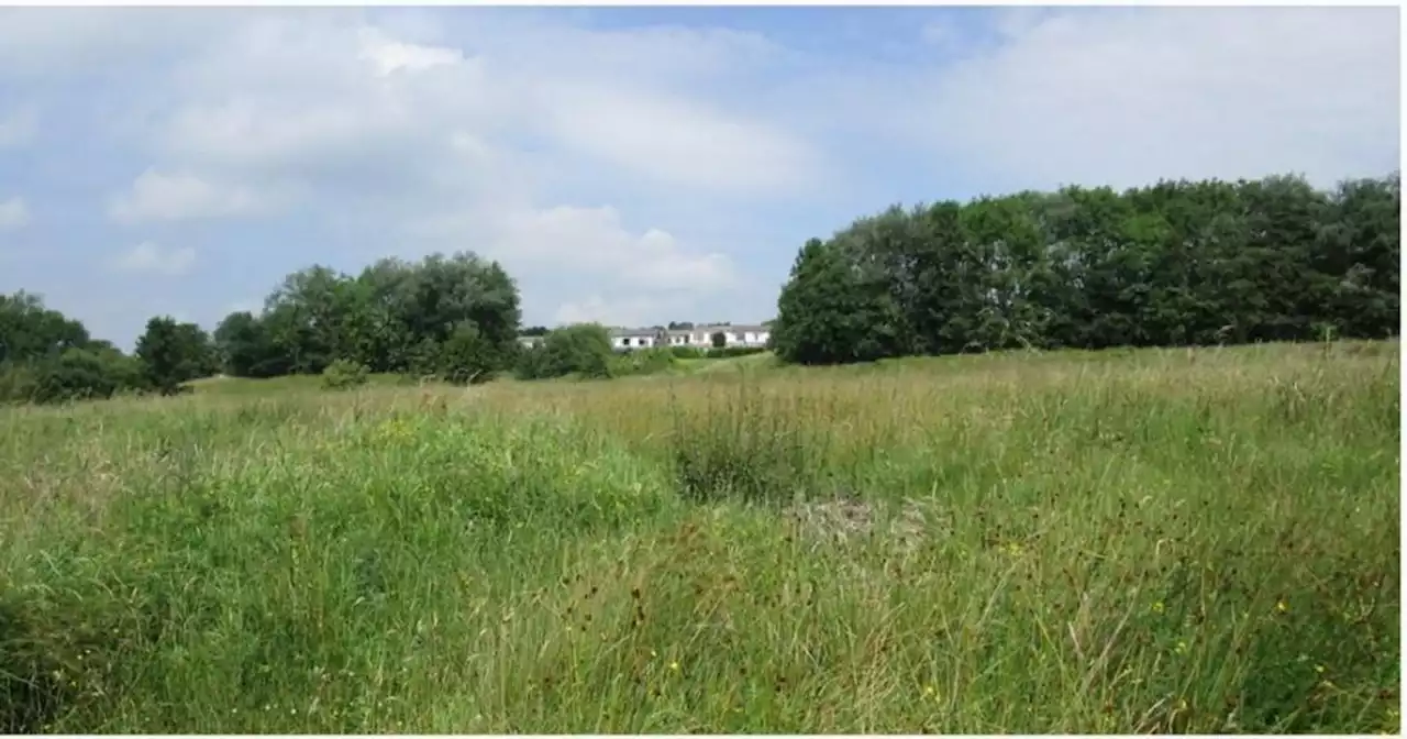 Rural Burnley battery farm set for go ahead due to 'sustainable location'