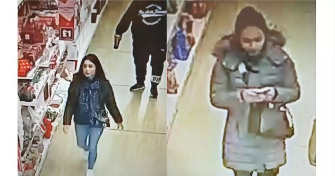 Shopper's handbag snatched as she browsed bargains in Poundland