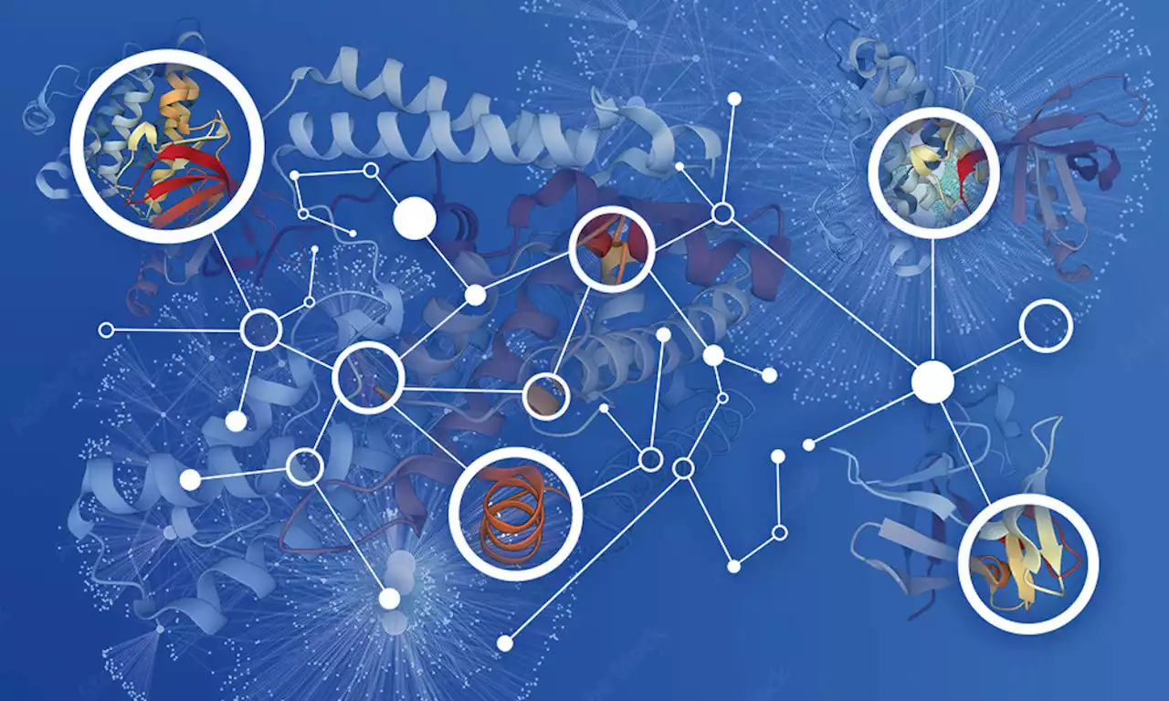 A human interactome to prioritize drug discovery