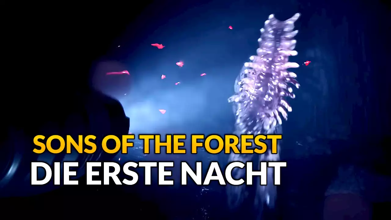 Sons of the Forest: 5 Tipps, wie ihr eure erste Nacht überlebt