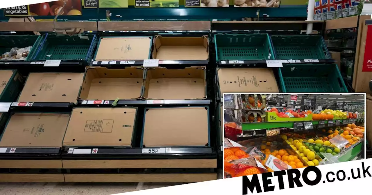 Why we are seeing empty supermarket shelves in the UK but Europe isn't