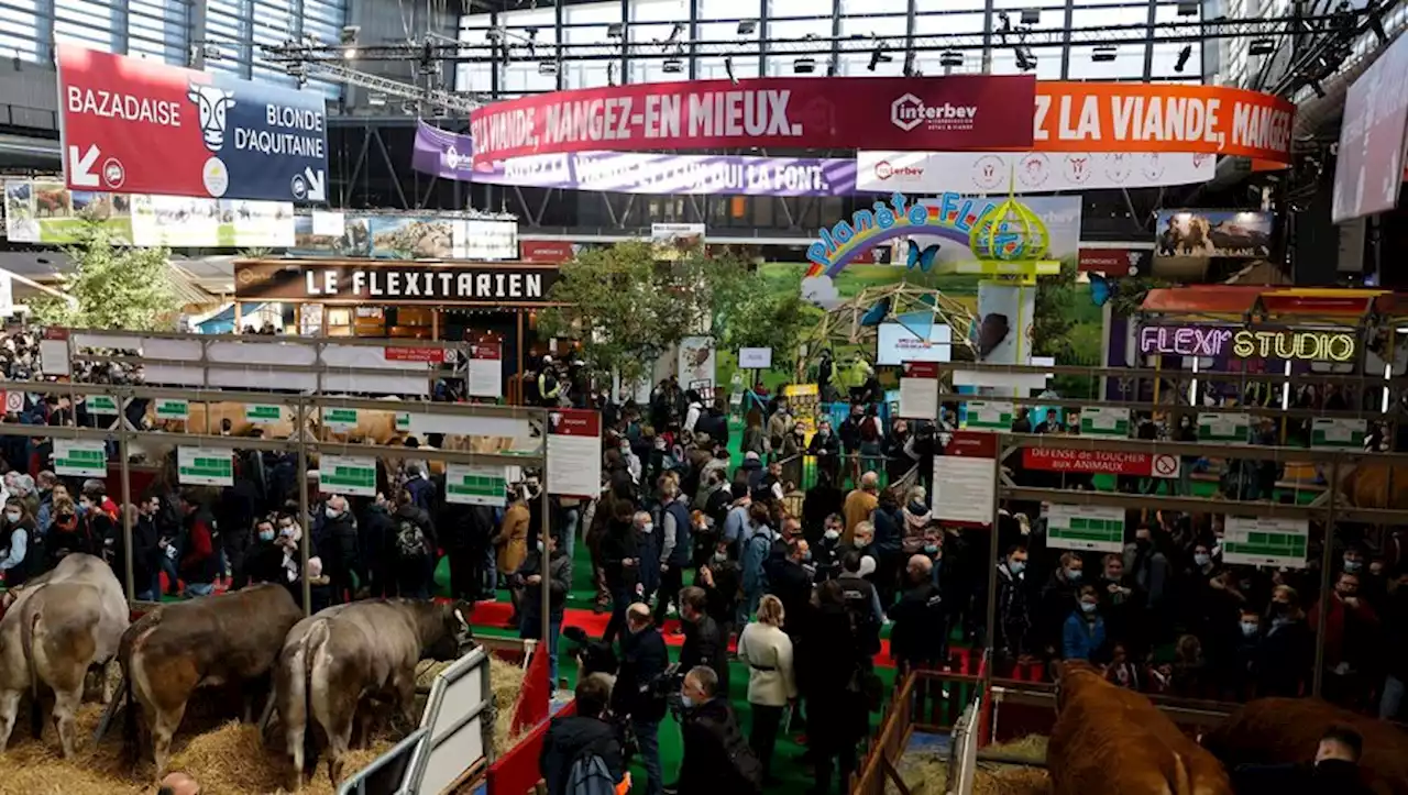 Le Salon de l'agriculture ouvre samedi, une fenêtre sur les 'espoirs et problèmes' des agriculteurs