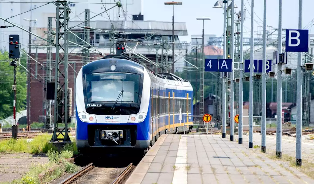 Nordwestbahn gesperrt – weil Pärchen Baum in Kleingartenkolonie fällte