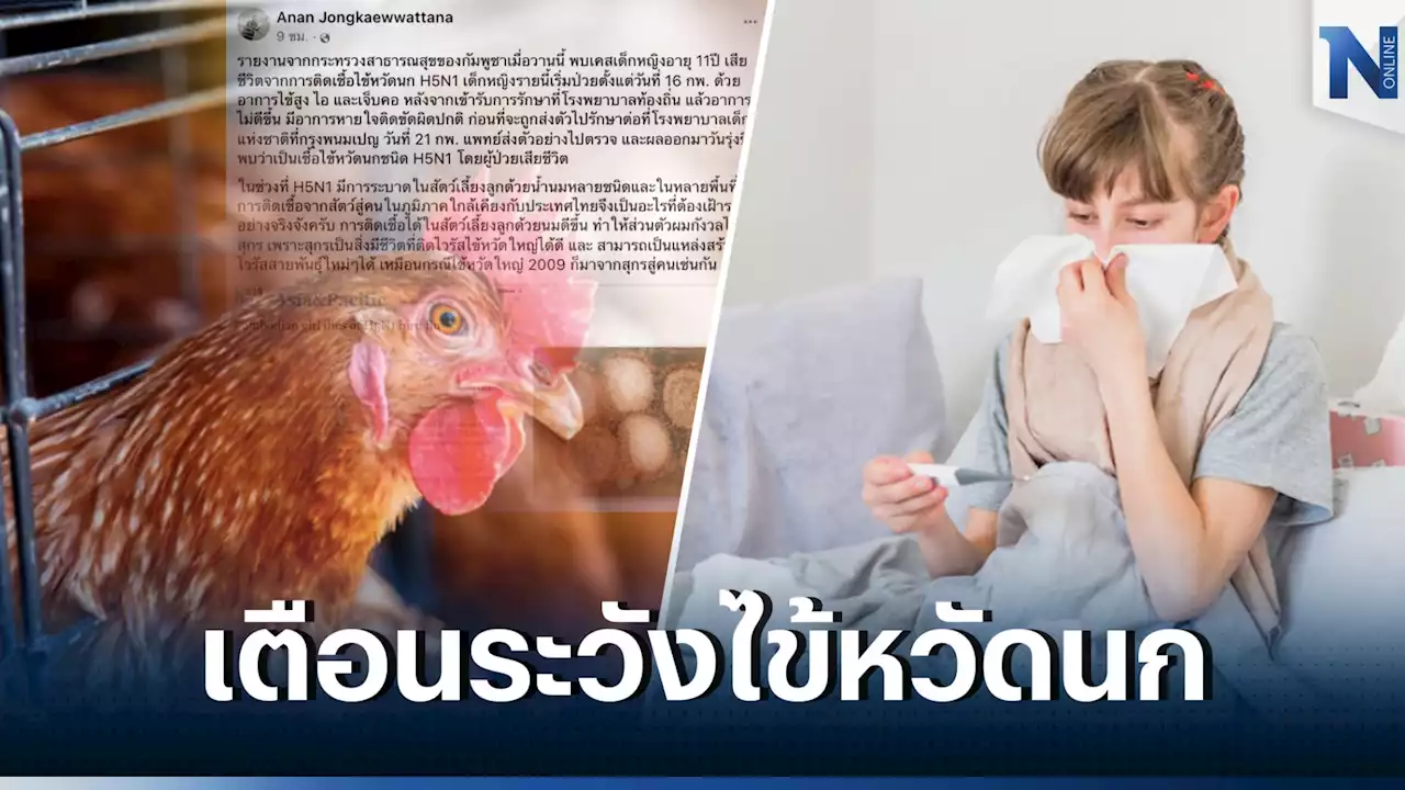 นักไวรัสวิทยา เตือนไทยเฝ้าระวังไข้หวัดนก H5N1 หลังกัมพูชาพบผู้เสียชีวิต