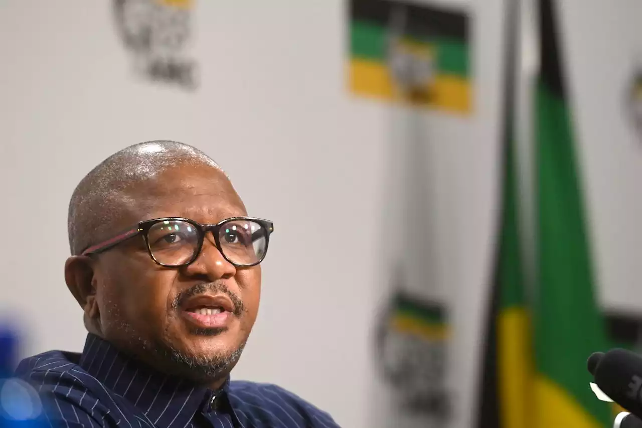 ANC's Fikile Mbalula labels De Ruyter 'right wing' and a 'failure' | News24