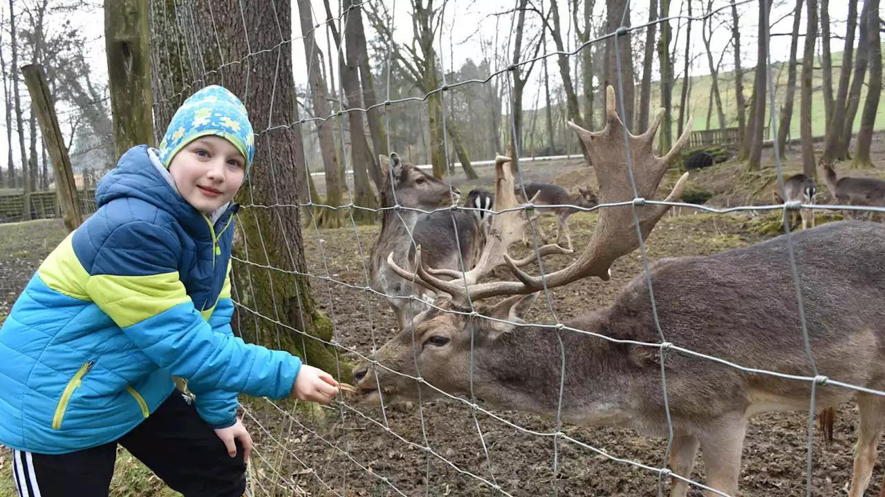 Ein Weltmeister für den Tierpark Haag