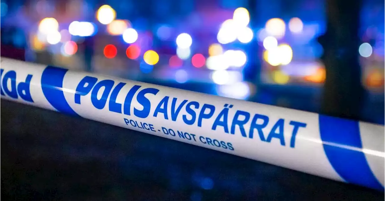 Skottlossning på Kronoparken – polisen: ”Det är vi som har skjutit”