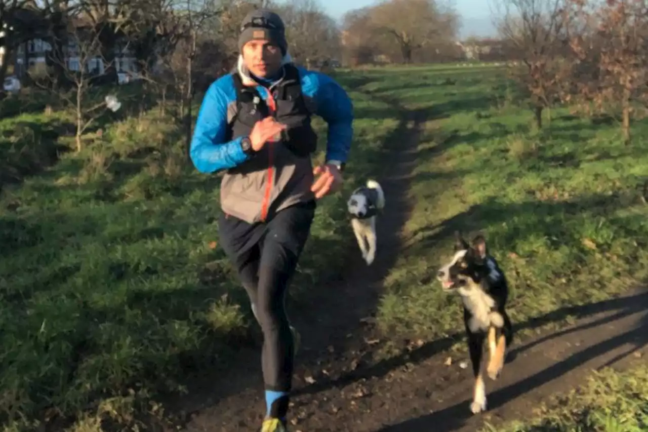 Barking mad: Man runs marathon every morning with his border collies