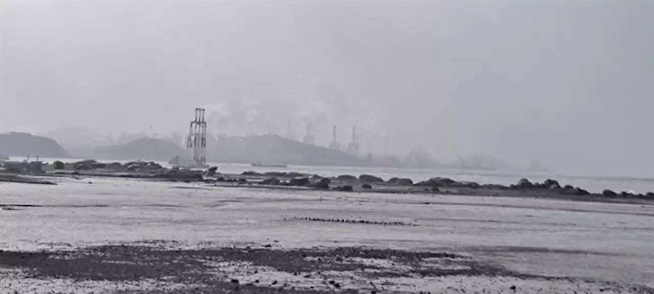 충남도·시군도 나섰다 '석탄발전 폐쇄지역 특별법 제정해야'