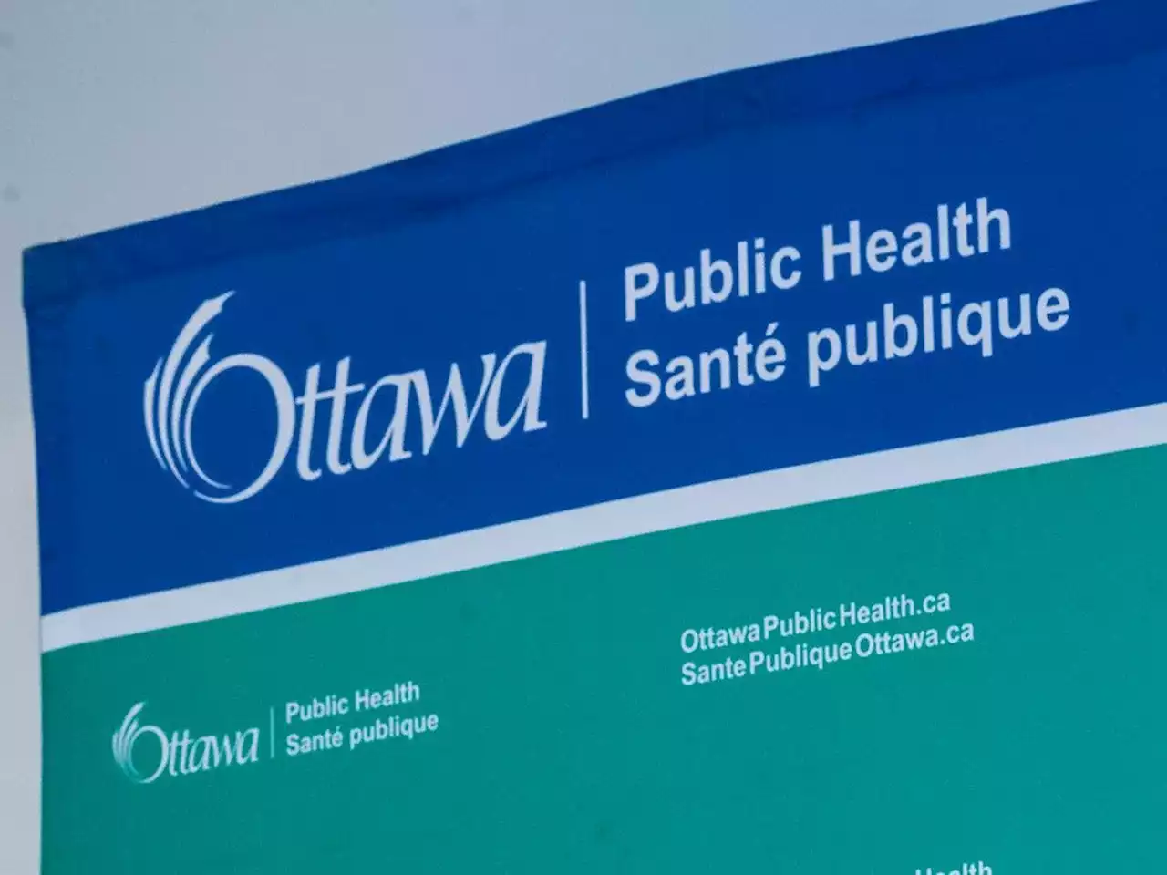 COVID-19: Virus levels stable and no new deaths in Ottawa Public Health's twice-weekly update