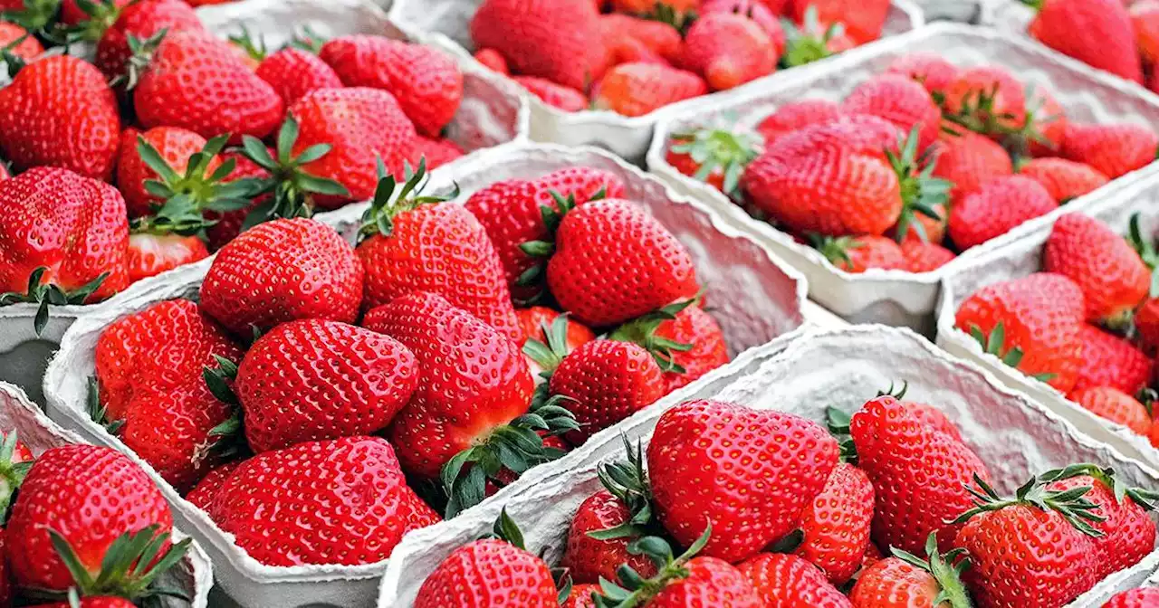 It’s strawberry season!