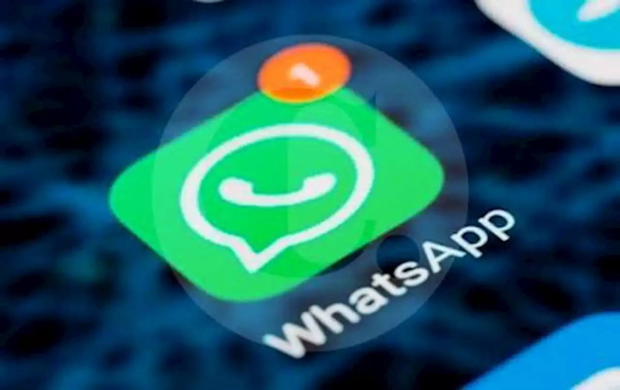 WhatsApp prepara una nueva herramienta para difundir contenido como boletines informativos - Pulzo