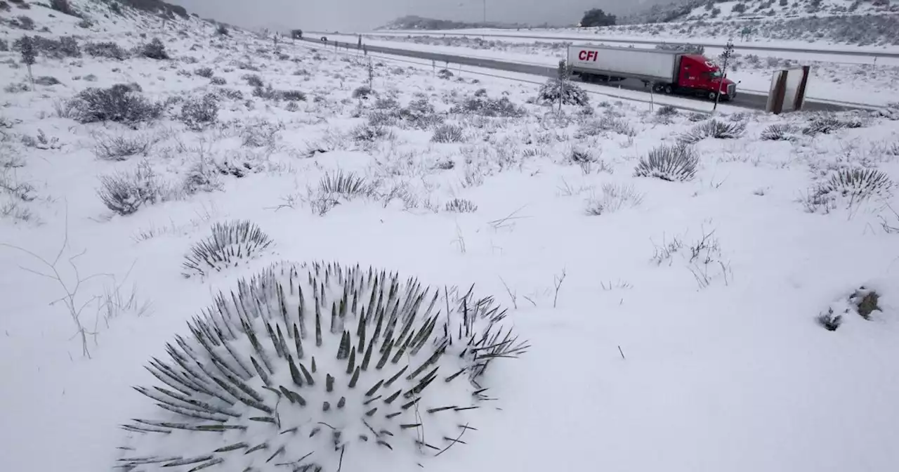 Black ice on I-8 stalls motorists; 'blizzard warning' issued for San Bernardino County mountains