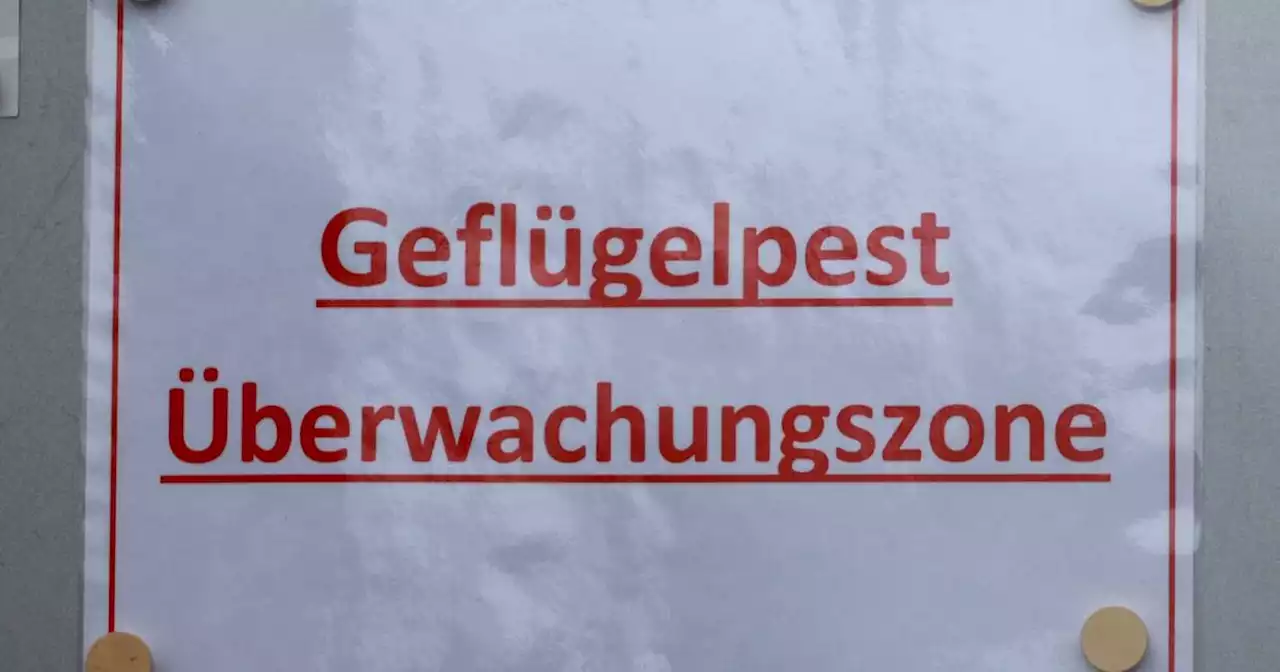 Zwei Fälle nachgewiesen: Geflügelpest im Saarland – Zoo Neunkirchen wird vorerst geschlossen