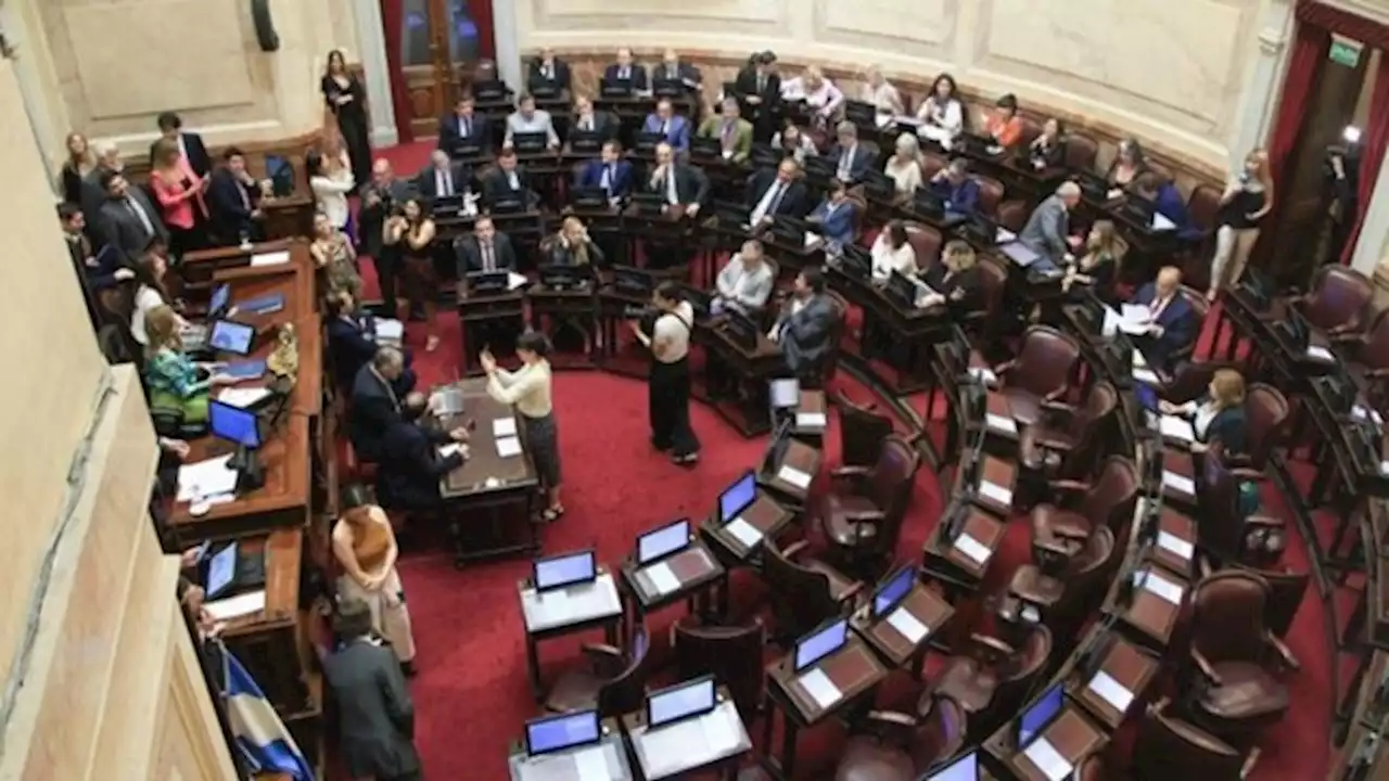 Sin Cristina Kirchner, el Senado retoma su actividad con la renovación de autoridades