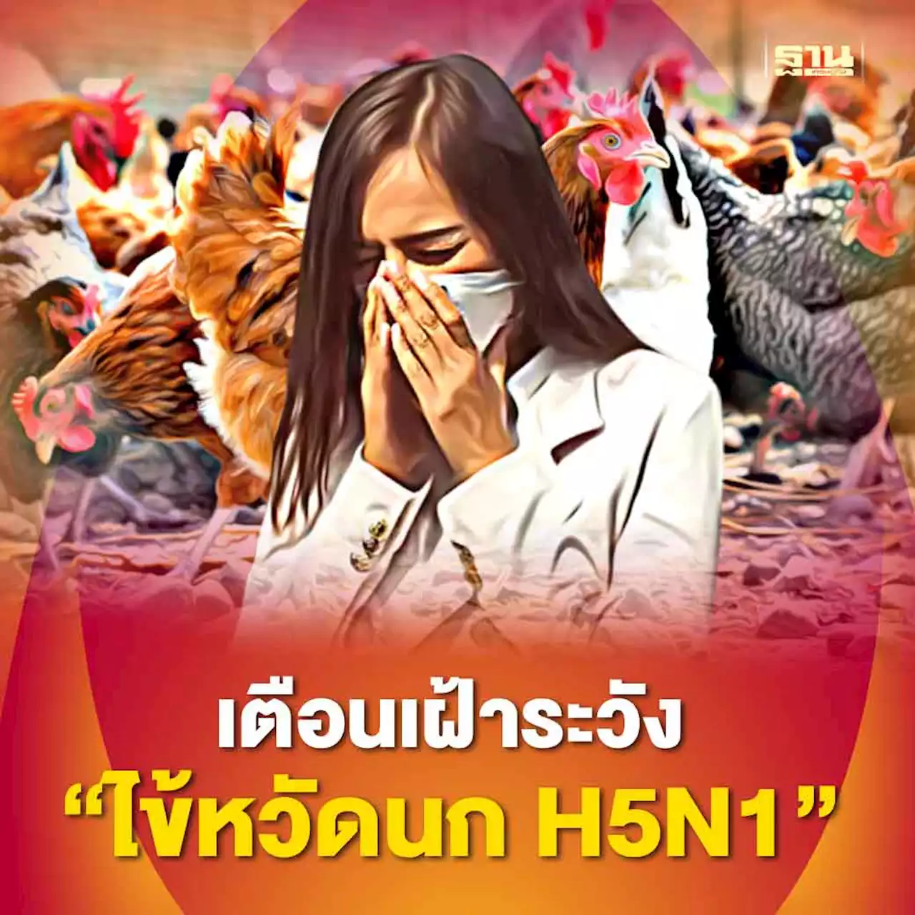 นักไวรัสวิทยา เตือนไทยเฝ้าระวัง 'ไข้หวัดนก H5N1'