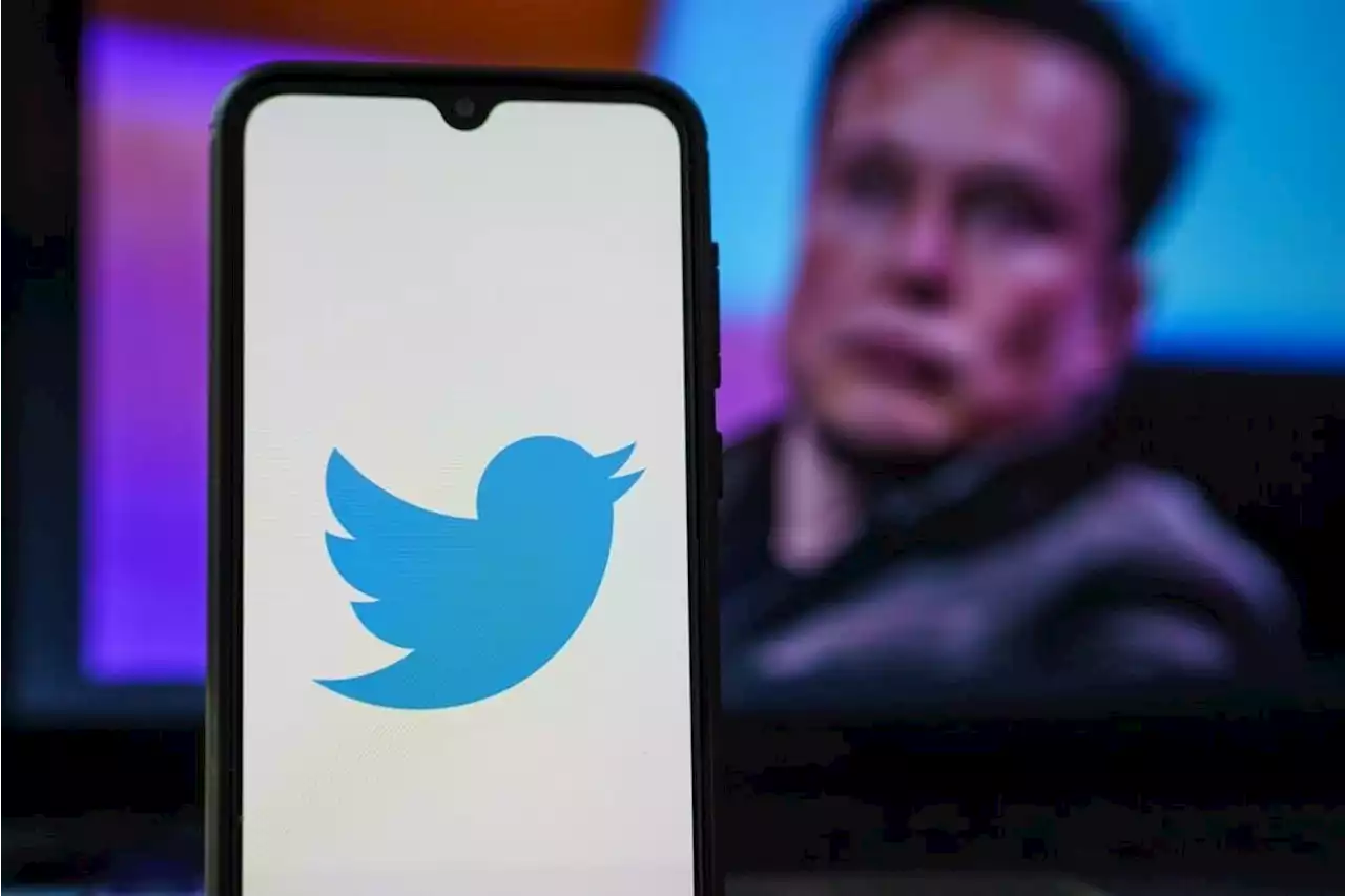 Twitter algorithm will be open sourced 'next week': Musk