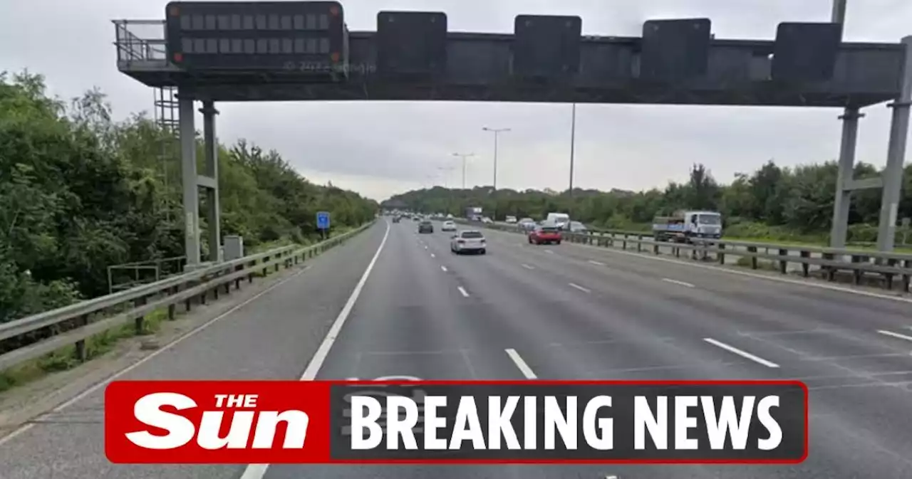 Two men killed and two more seriously injured in horror crash on M25