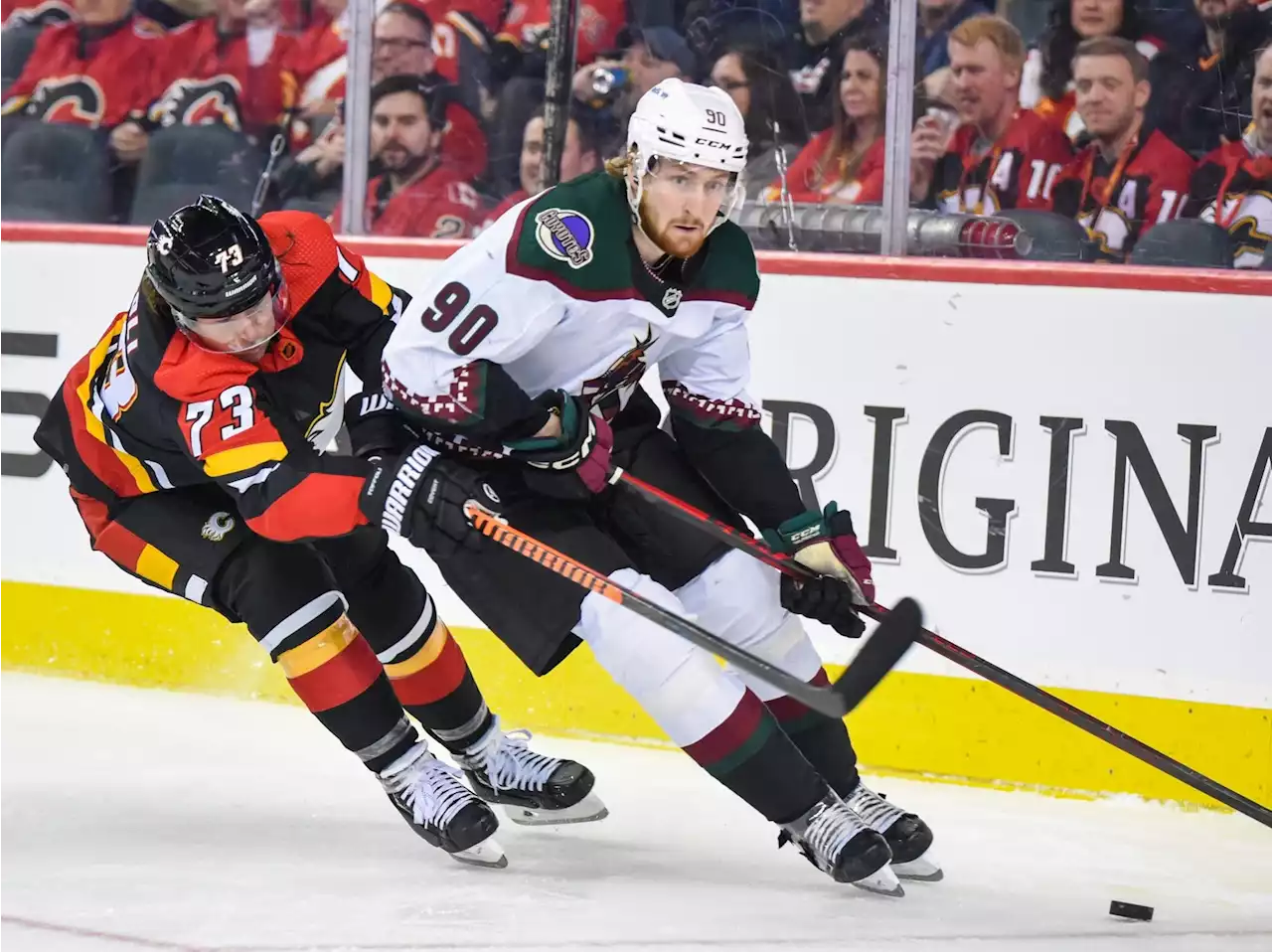 Flames vs Coyotes Odds, Picks, and Predictions Tonight: February 22