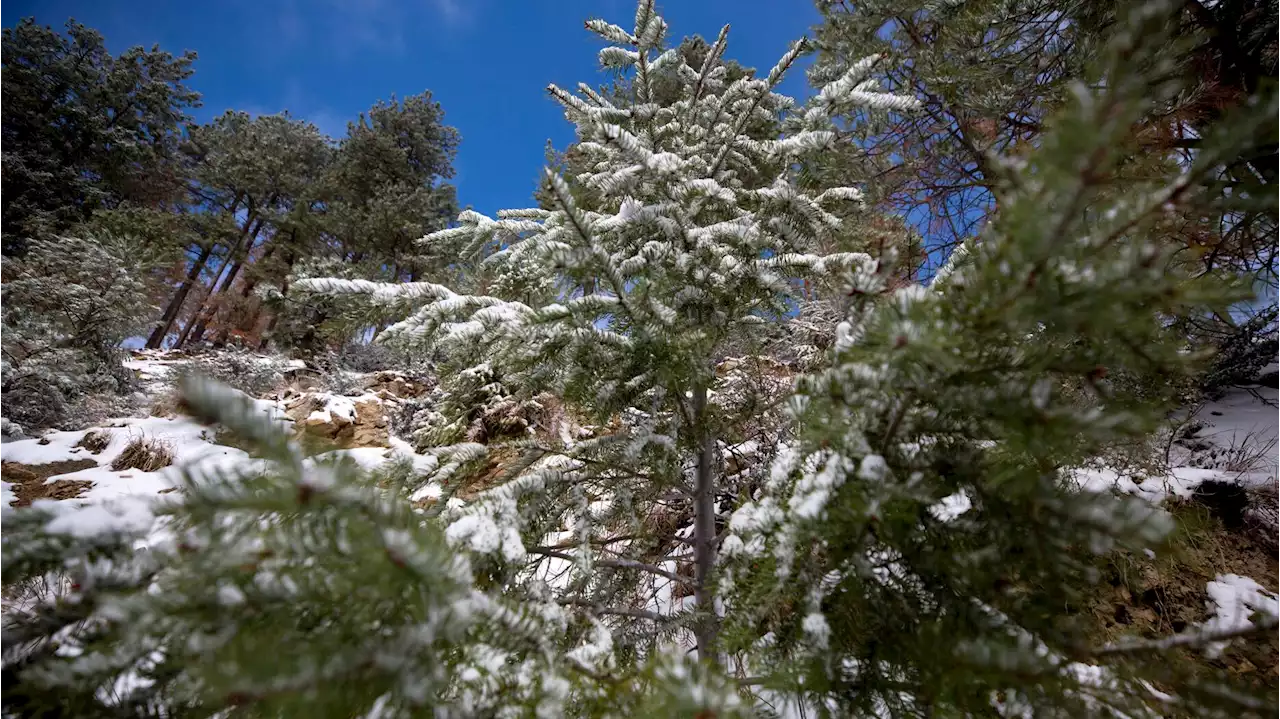 Today's Tucson weather forecast: Feb. 23