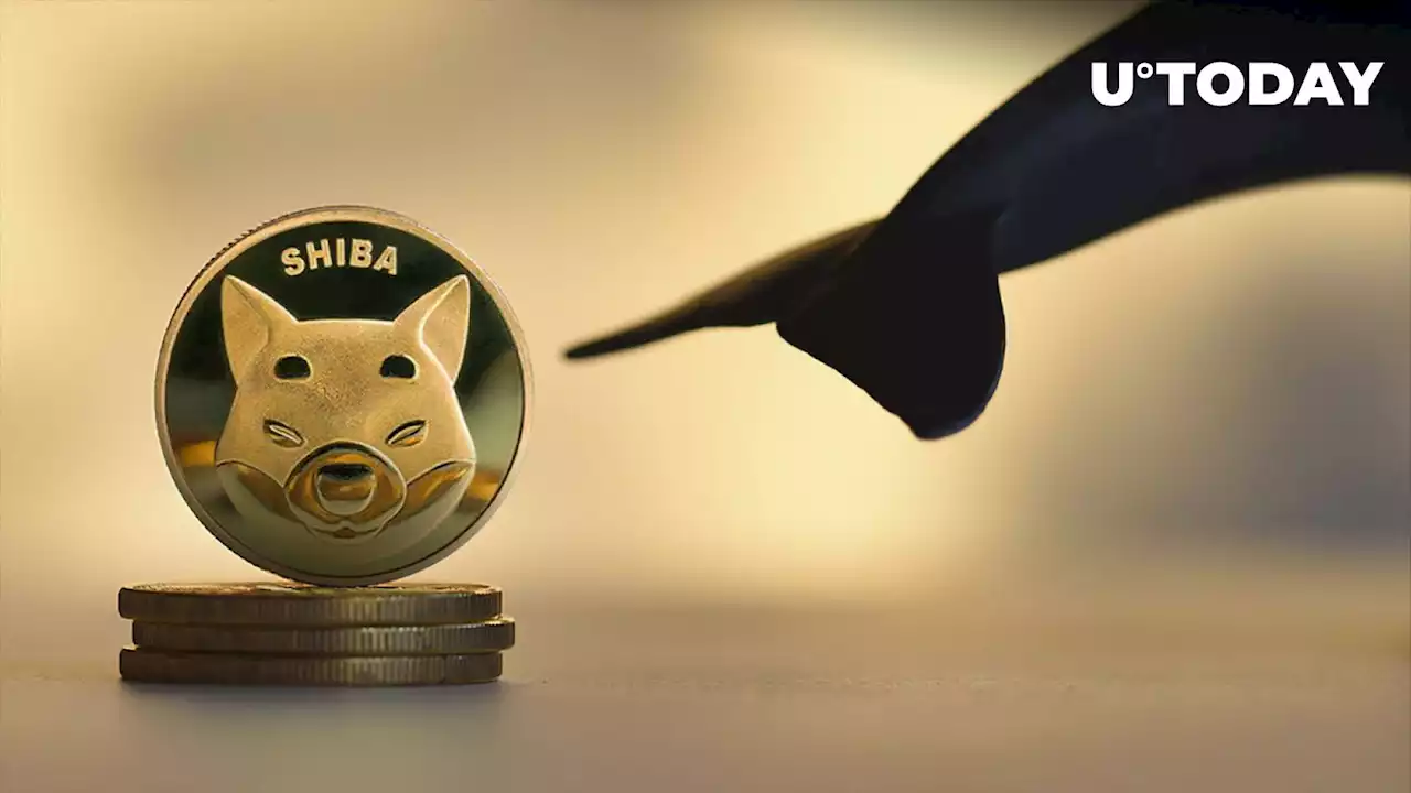 384 Billion Shiba Inu Bought by Major SHIB Whale Ahead of Upcoming Shibarium Release