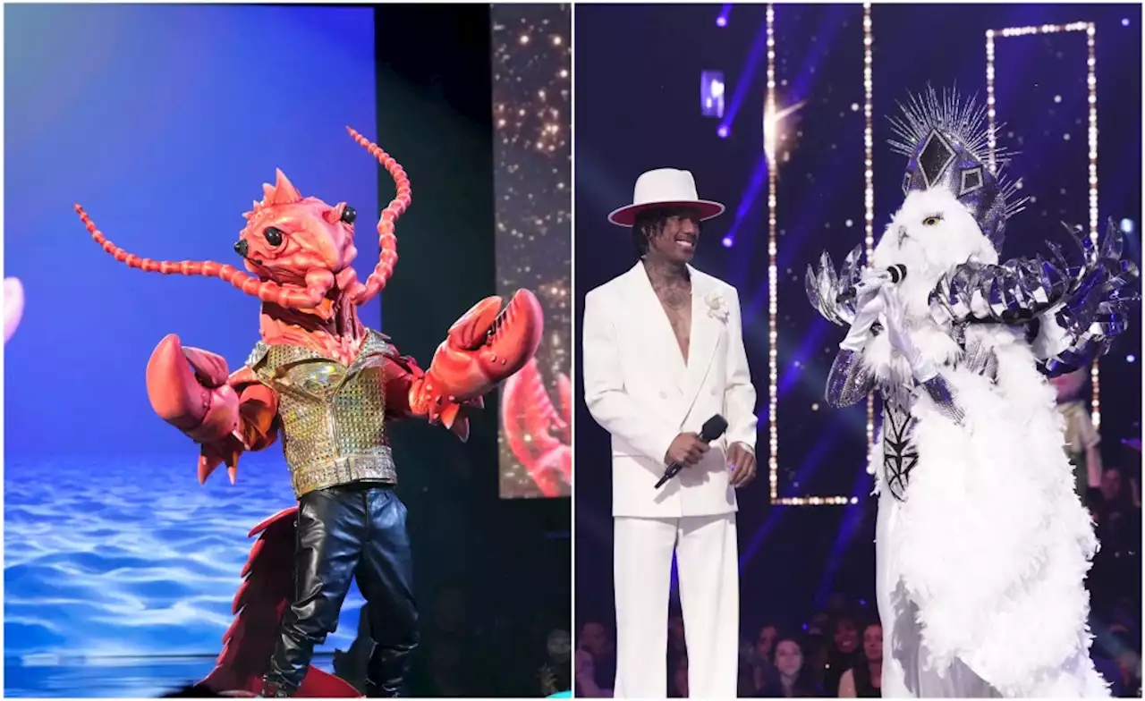 ‘The Masked Singer’ Reveals Identities of Rock Lobster and Night Owl: Here’s Who They Are