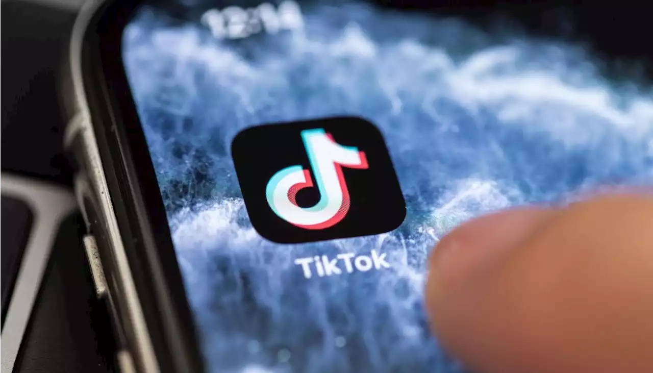 'Por seguridad', Comisión Europea prohíbe instalar TikTok en celulares