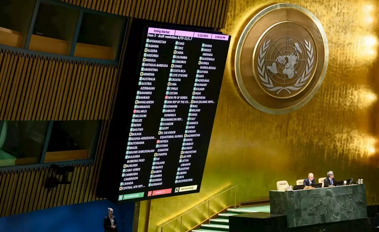 Africa: Ukraine: UN Members Endorse Resolution to End War