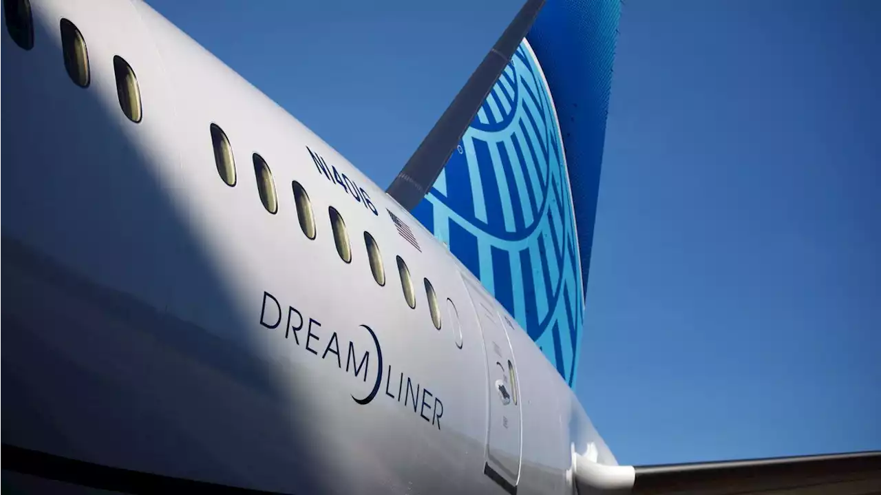 Boeing temporarily halts deliveries of 787 Dreamliners