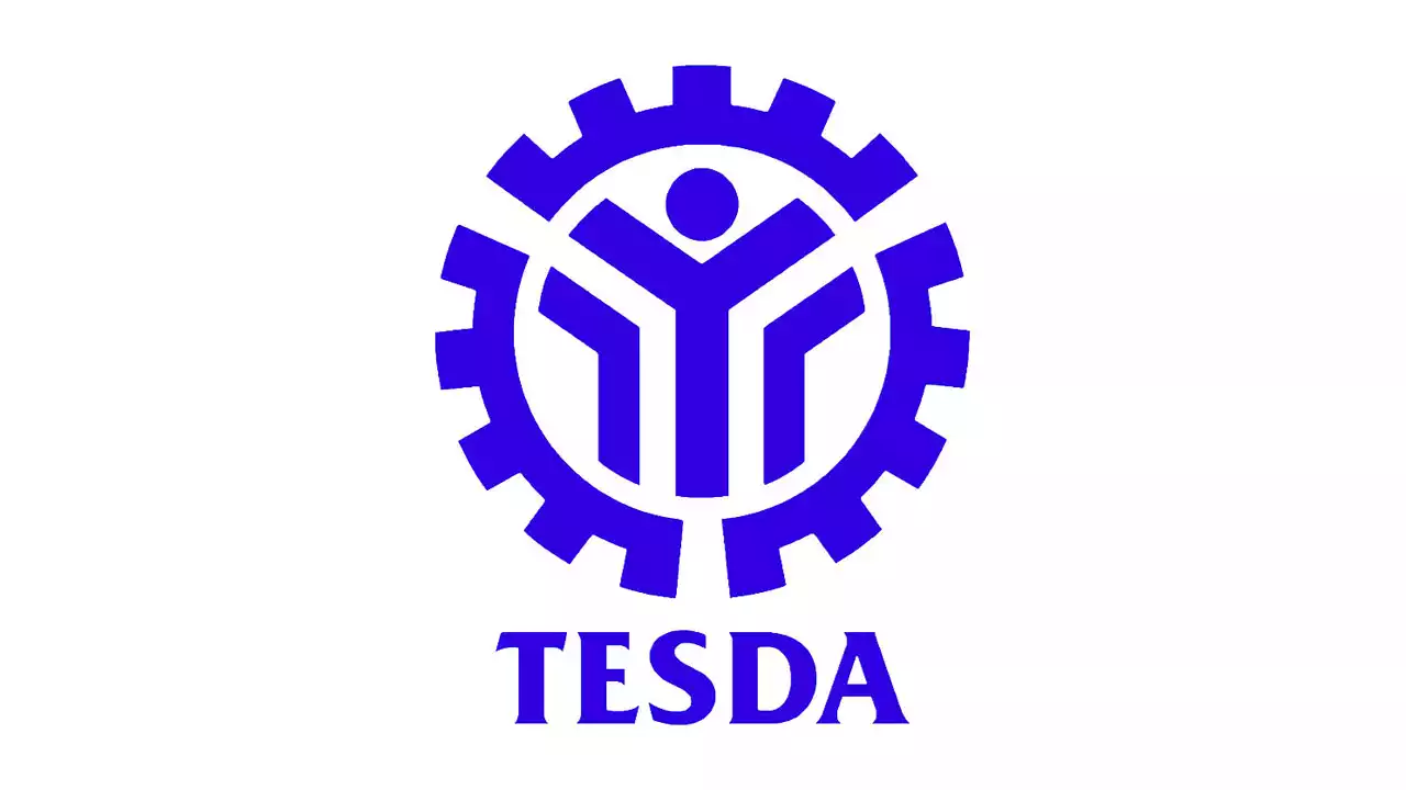 TESDA to provide more livelihood programs for women, OFWs - BusinessWorld Online