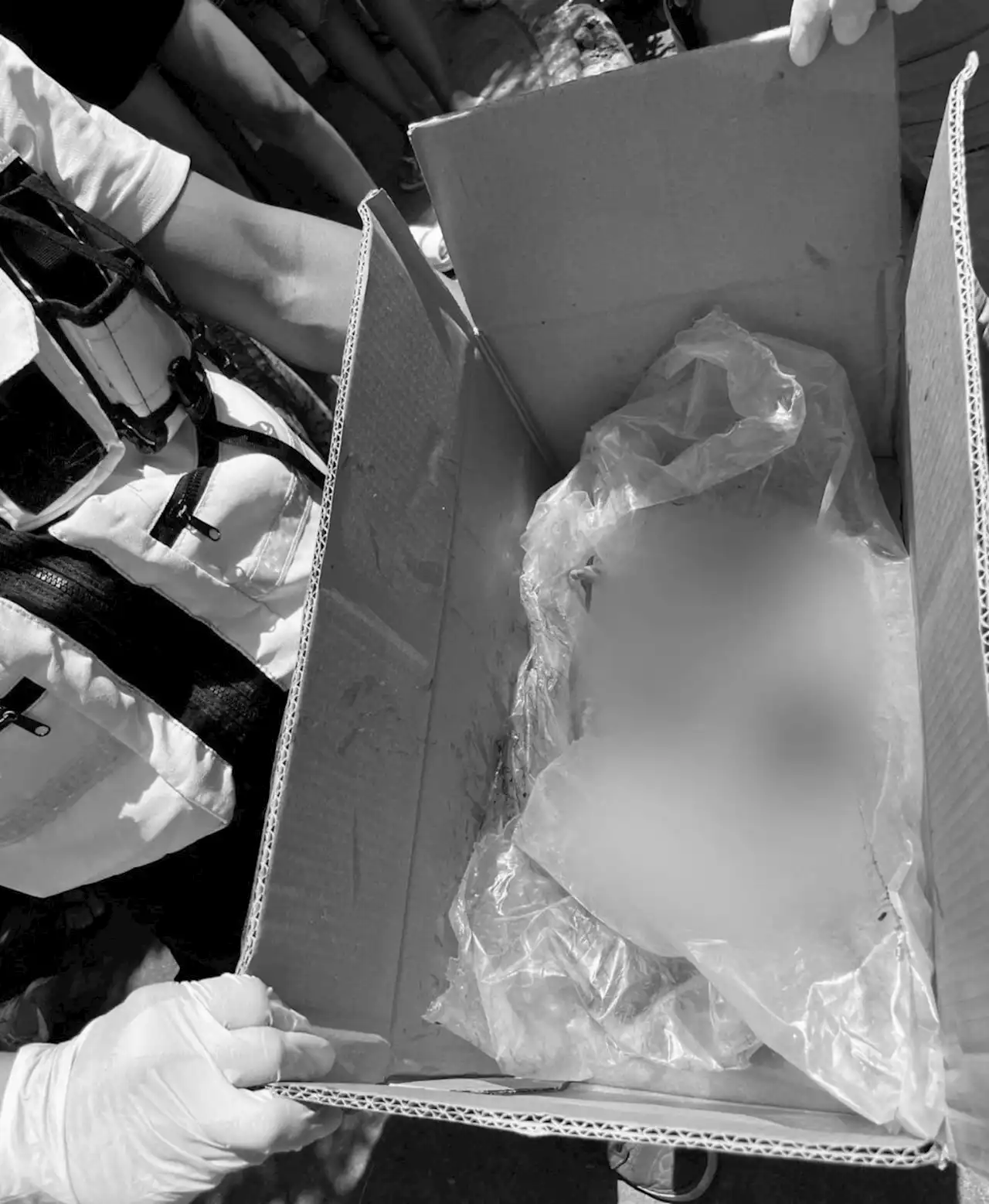 Dead fetus found in septic pumper truck in Mandaue