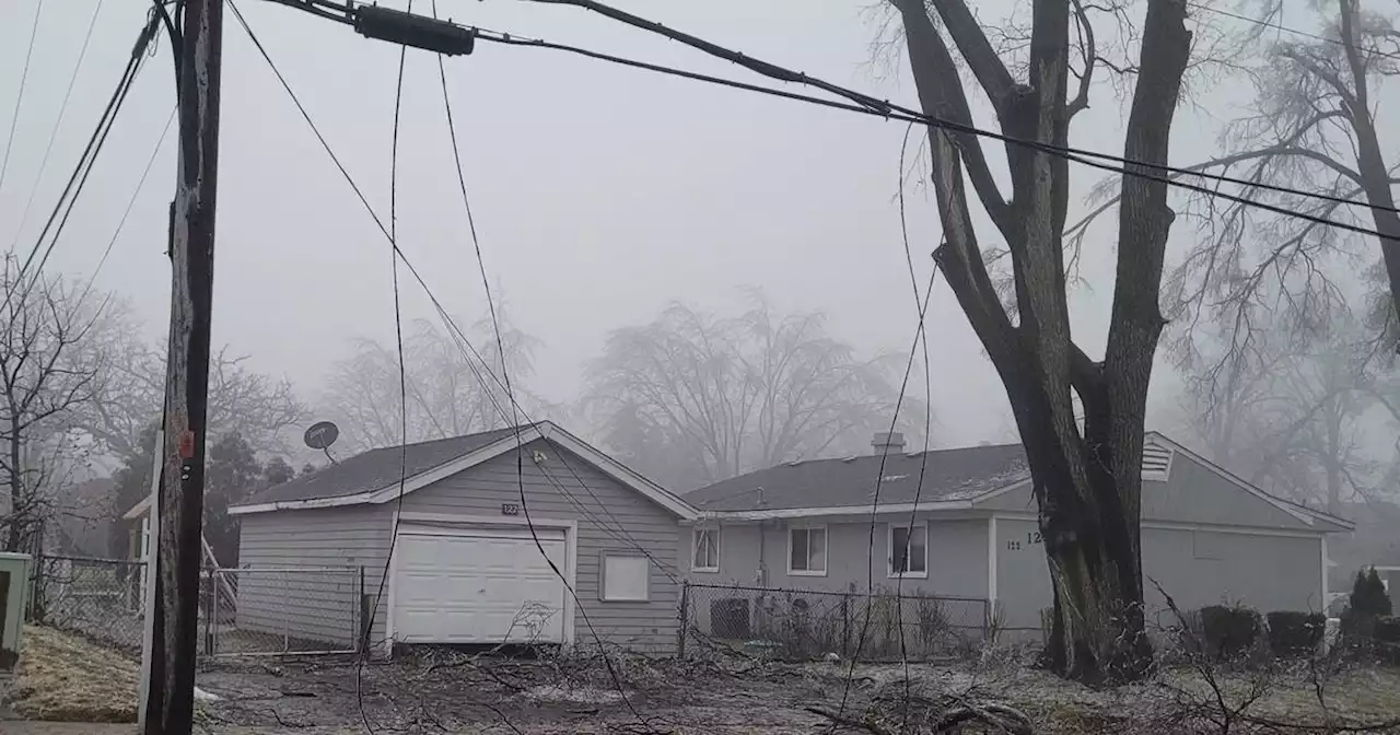 Ice storm takes down tree branches, power lines in Elgin-Carpentersville area, leaves thousands without electricity