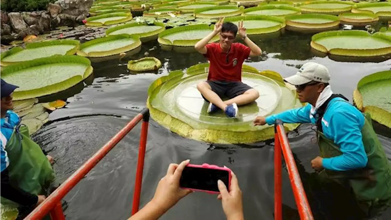 Siapa Mau? Taiwan Mau Kasih Duit buat Turis Asing yang Datang