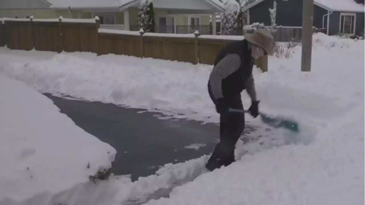 Heavy snow blankets Mid-Island