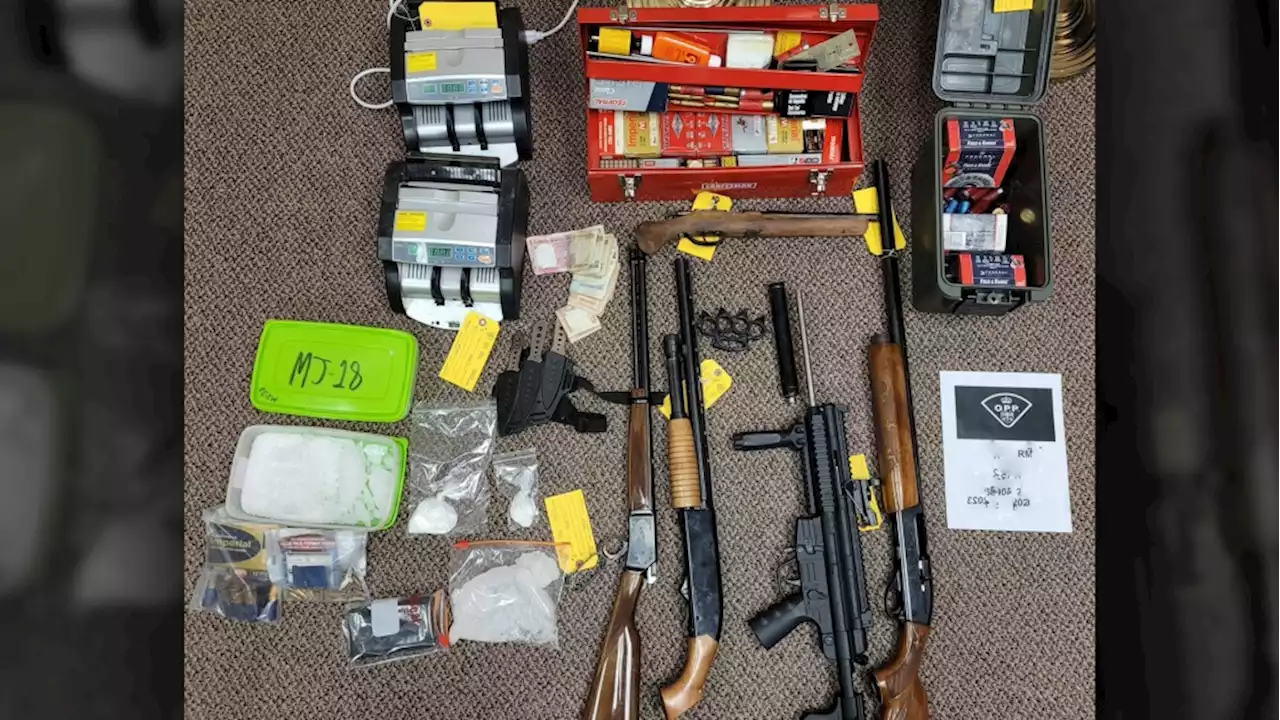 Police seize meth, cocaine and guns from home near Kingston, Ont.