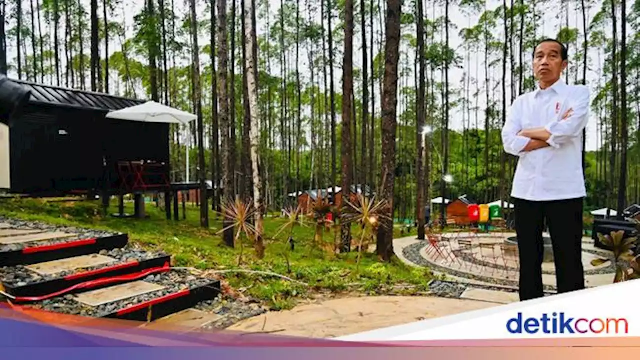 Perasaan Jokowi Kembali Nginap di Tengah Alam IKN Nusantara