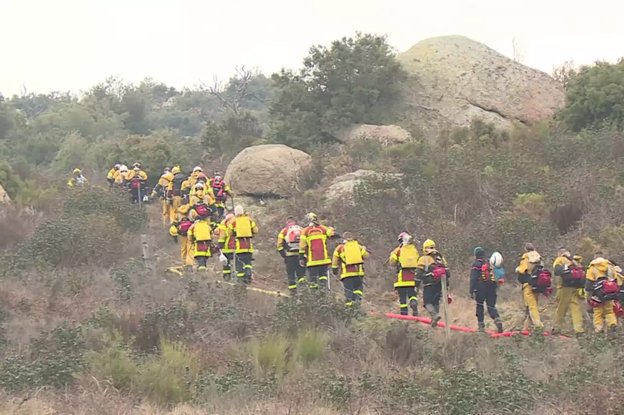 Sécheresse : bois mort et végétaux inflammables, les pompiers sur le qui-vive dans les Pyrénées-Orientales