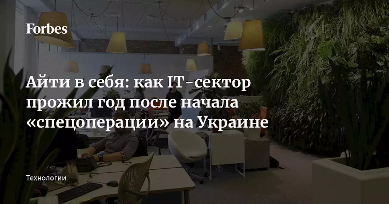 Айти в себя: как IT-сектор прожил год после начала «спецоперации» на Украине