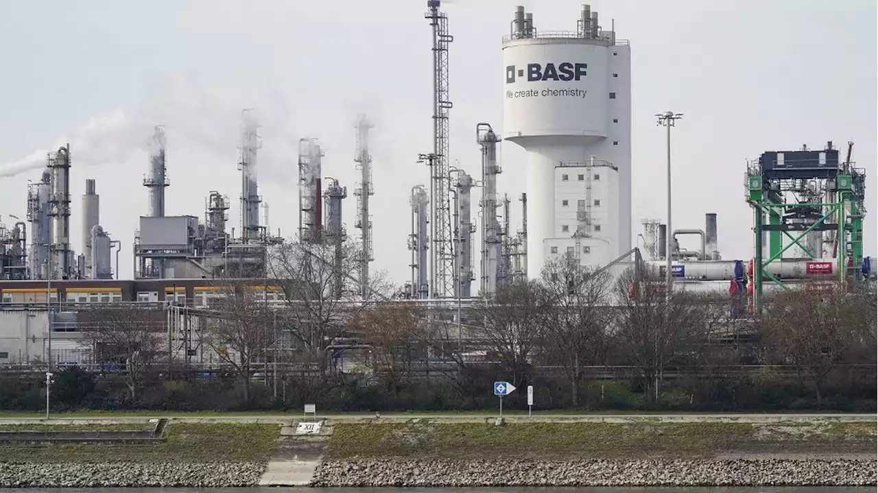 Le géant allemand de la chimie BASF annonce la suppression de 3 300 emplois dans le monde