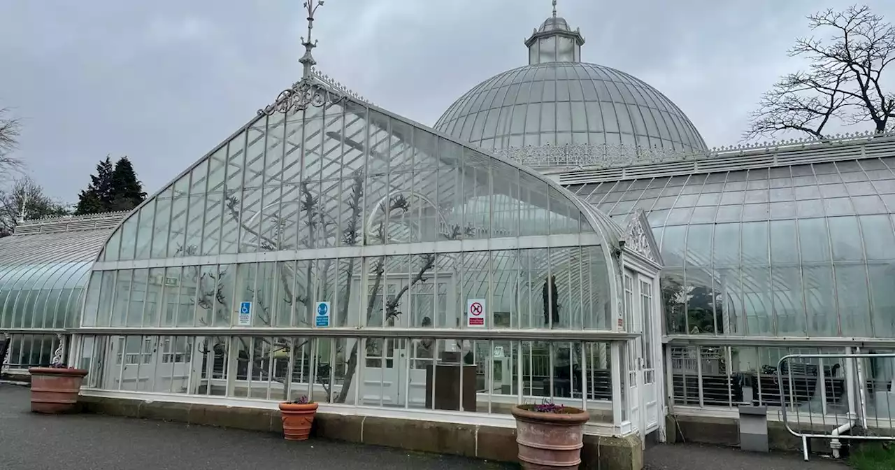 We spoke to Glaswegians about the planned charge for Botanic Gardens glasshouses