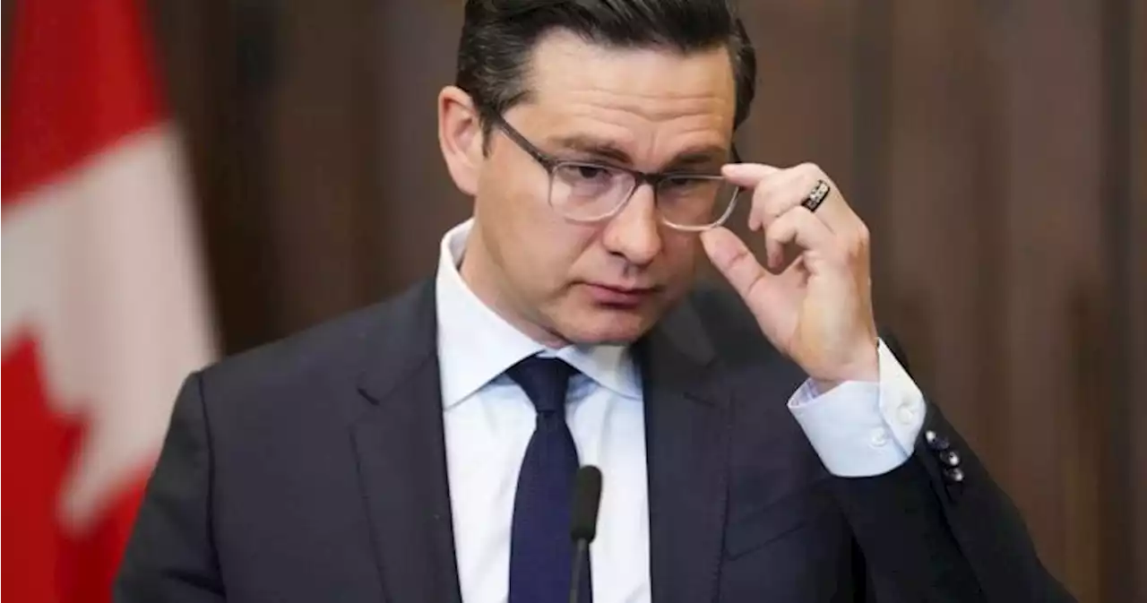 Poilievre condemns ‘racist’ views of far-right German politician who met Tory MPs - National | Globalnews.ca