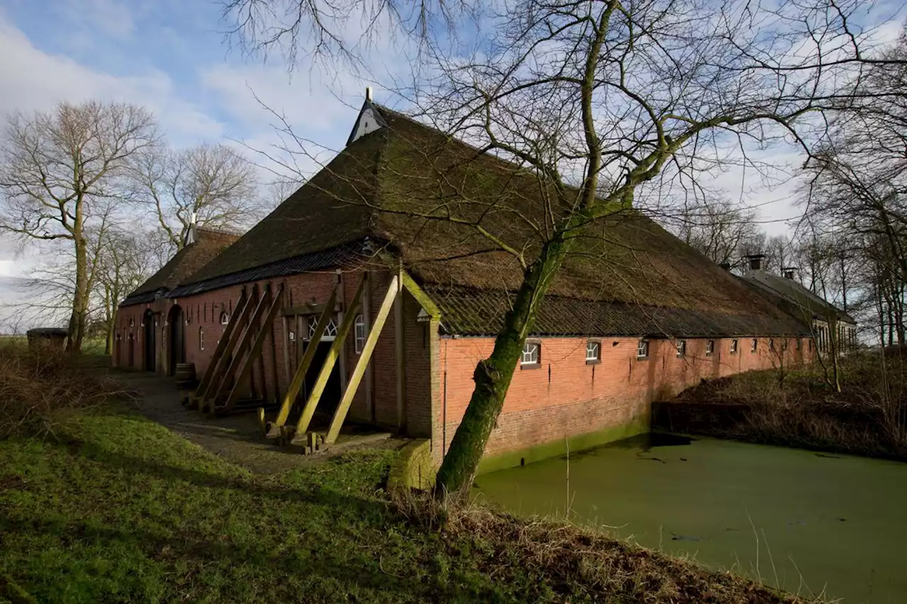Dutch government, Shell and Exxon ignored Groningen risks for years, inquiry finds
