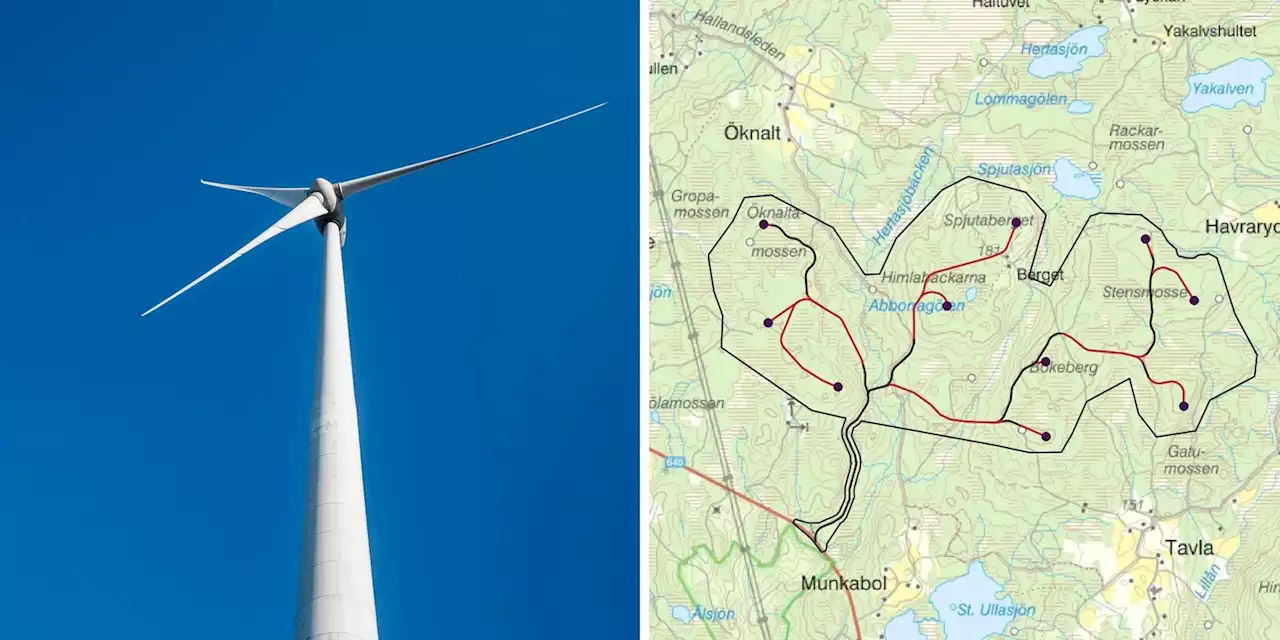 Här planeras 260 meter höga vindkraftverk – i skogen